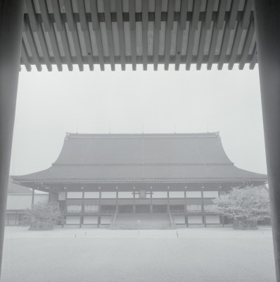 knd_05694(京都府京都市上京区京都御苑)