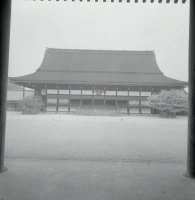 knd_05695(京都府京都市上京区京都御苑)