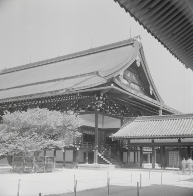 knd_05710(京都府京都市上京区京都御苑)