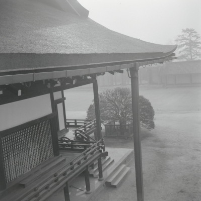 knd_05723(京都府京都市上京区京都御苑)