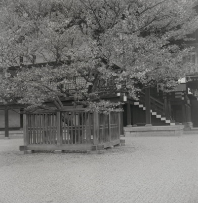 knd_05729(京都府京都市上京区京都御苑)