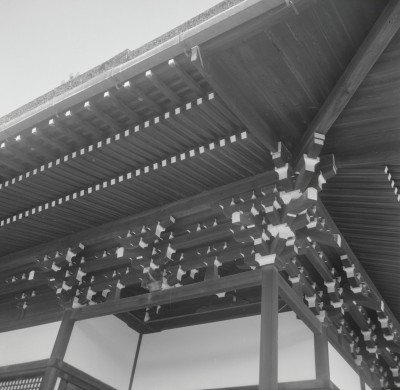 knd_05736(京都府京都市上京区京都御苑)