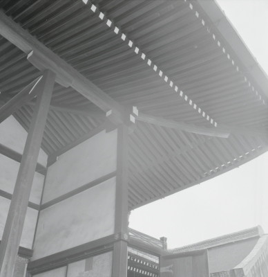 knd_05740(京都府京都市上京区京都御苑)