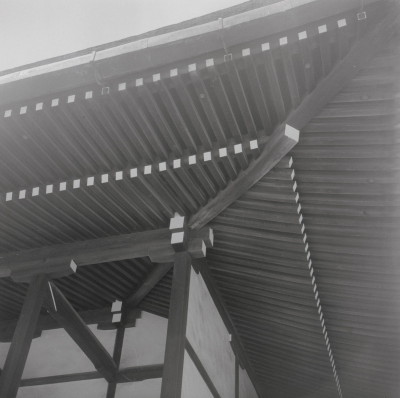 knd_05747(京都府京都市上京区京都御苑)