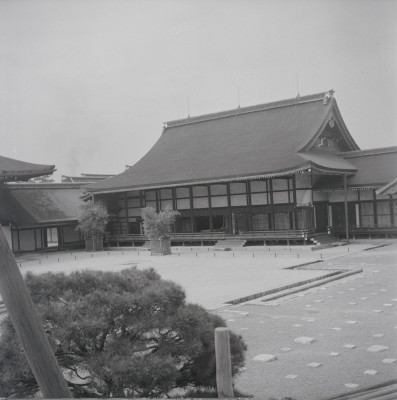 knd_05750(京都府京都市上京区京都御苑)