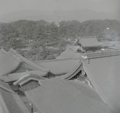 knd_05753(京都府京都市上京区京都御苑)