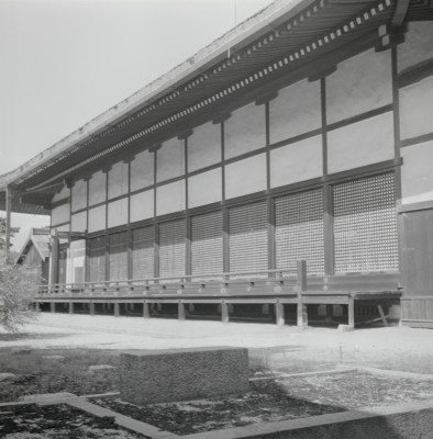 knd_05768(京都府京都市上京区京都御苑)