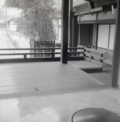 knd_05769(京都府京都市上京区京都御苑)