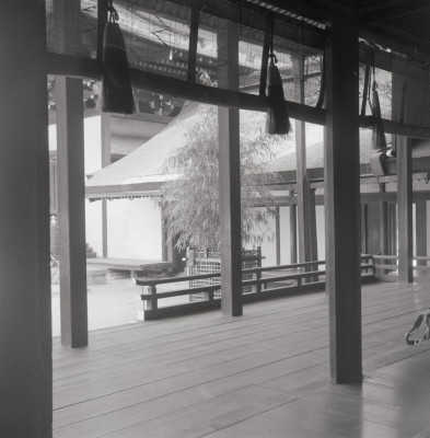 knd_05771(京都府京都市上京区京都御苑)