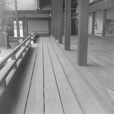 knd_05772(京都府京都市上京区京都御苑)