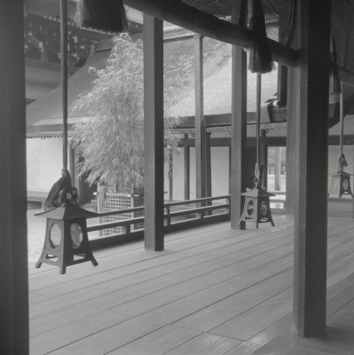 knd_05773(京都府京都市上京区京都御苑)