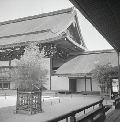 knd_05785(京都府京都市上京区京都御苑)
