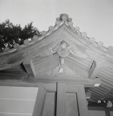 knd_05792(京都府京都市上京区京都御苑)