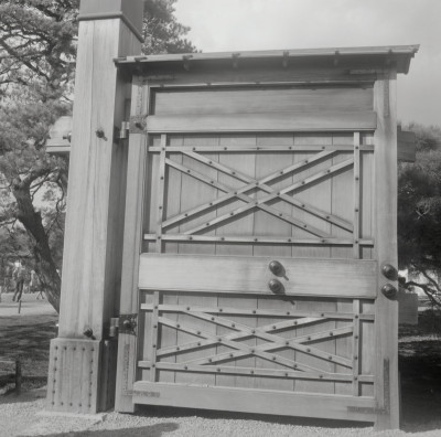 knd_05795(京都府京都市上京区京都御苑)