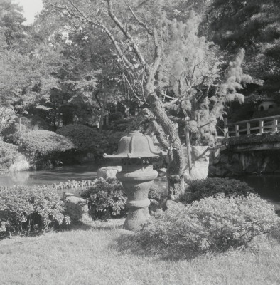 knd_05796(京都府京都市上京区京都御苑)