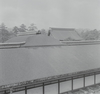knd_05797(京都府京都市上京区京都御苑)