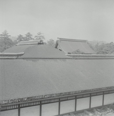 knd_05798(京都府京都市上京区京都御苑)