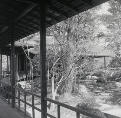 knd_05801(京都府京都市上京区京都御苑)
