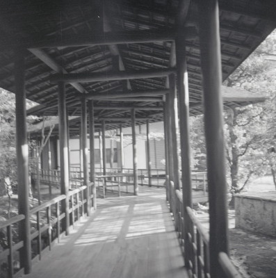 knd_05803(京都府京都市上京区京都御苑)