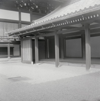 knd_05810(京都府京都市上京区京都御苑)
