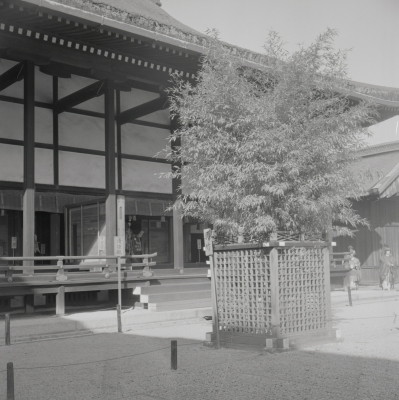 knd_05815(京都府京都市上京区京都御苑)