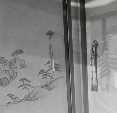 knd_05836(京都府京都市上京区京都御苑)
