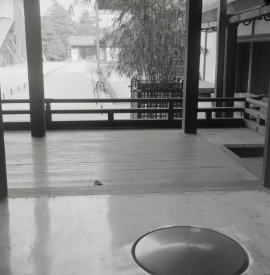 knd_05841(京都府京都市上京区京都御苑)