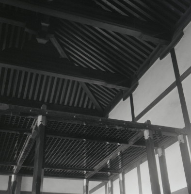 knd_05845(京都府京都市上京区京都御苑)