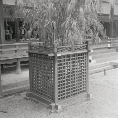 knd_05853(京都府京都市上京区京都御苑)