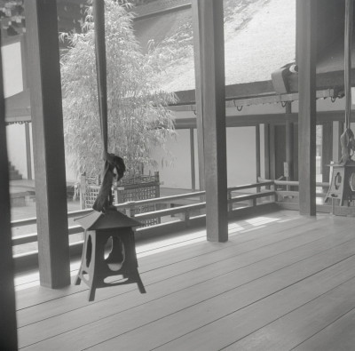 knd_05864(京都府京都市上京区京都御苑)