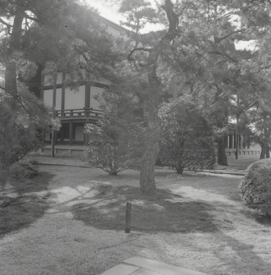 knd_05895(京都府京都市上京区京都御苑)