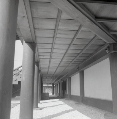 knd_05905(京都府京都市上京区京都御苑)
