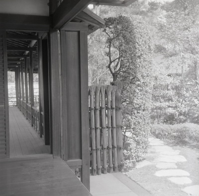 knd_05915(京都府京都市上京区京都御苑)