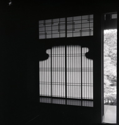 knd_05919(京都府京都市上京区京都御苑)