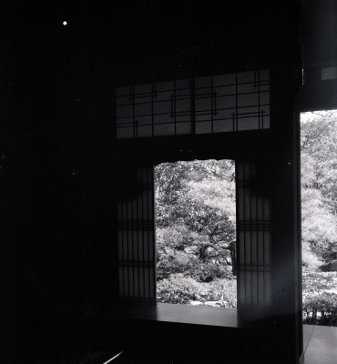knd_05920(京都府京都市上京区京都御苑)