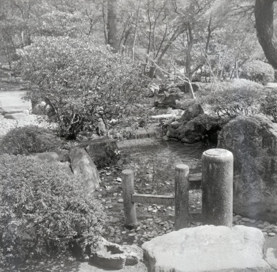 knd_05923(京都府京都市上京区京都御苑)