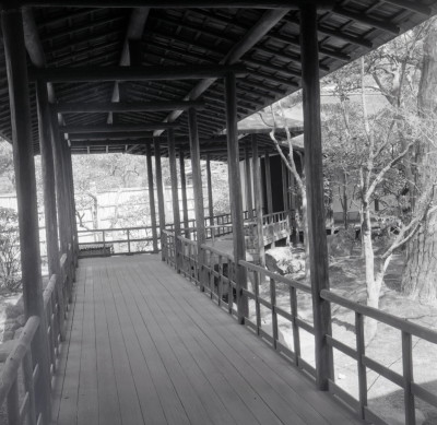 knd_05925(京都府京都市上京区京都御苑)