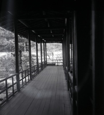 knd_05926(京都府京都市上京区京都御苑)