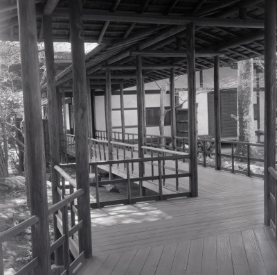 knd_05927(京都府京都市上京区京都御苑)