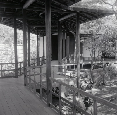 knd_05928(京都府京都市上京区京都御苑)