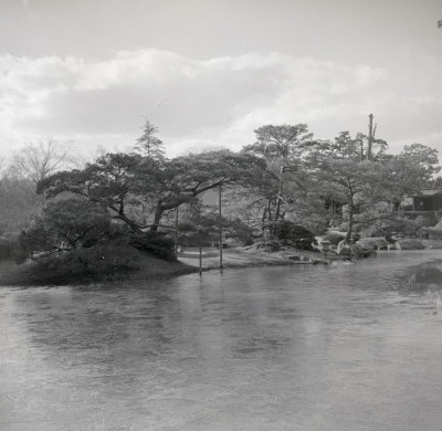 knd_05961(京都府京都市上京区京都御苑)