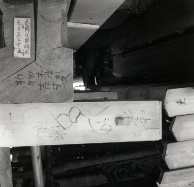 knd_05965(京都府京都市上京区京都御苑)