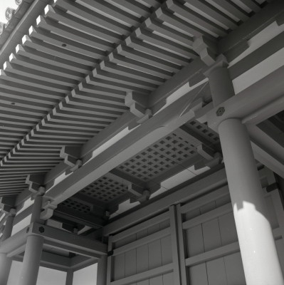 knd_05971(京都府京都市上京区京都御苑)