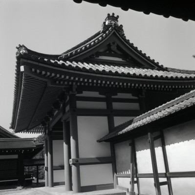 knd_05972(京都府京都市上京区京都御苑)