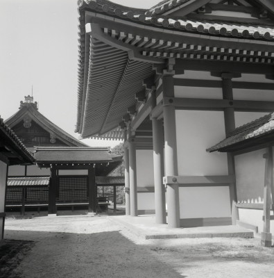 knd_05973(京都府京都市上京区京都御苑)