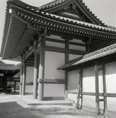 knd_05974(京都府京都市上京区京都御苑)