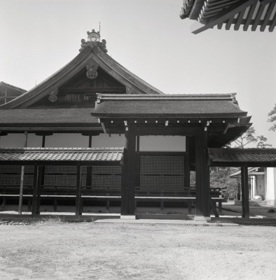 knd_05975(京都府京都市上京区京都御苑)