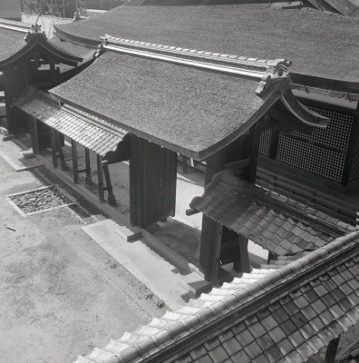 knd_05976(京都府京都市上京区京都御苑)