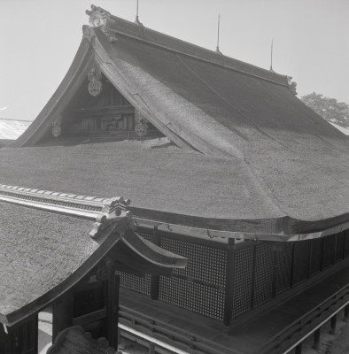 knd_05977(京都府京都市上京区京都御苑)