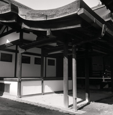 knd_05980(京都府京都市上京区京都御苑)